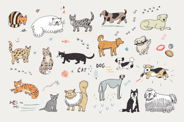 cats and dogs set cats and dogs animals vector set white husky stock illustrations