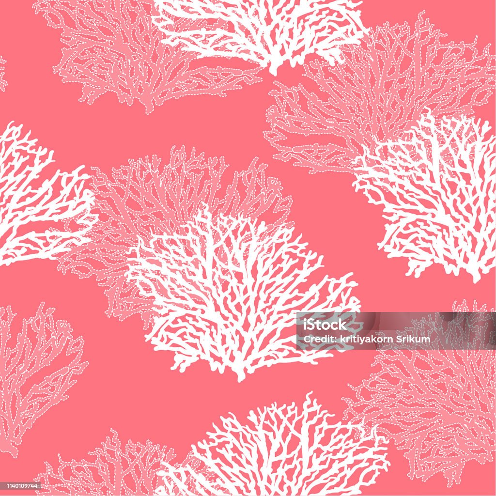 Coral Vector Pattern Seamless Hand Drawn Coral Pattern Vector Illustrationbeautiful Modern S ...