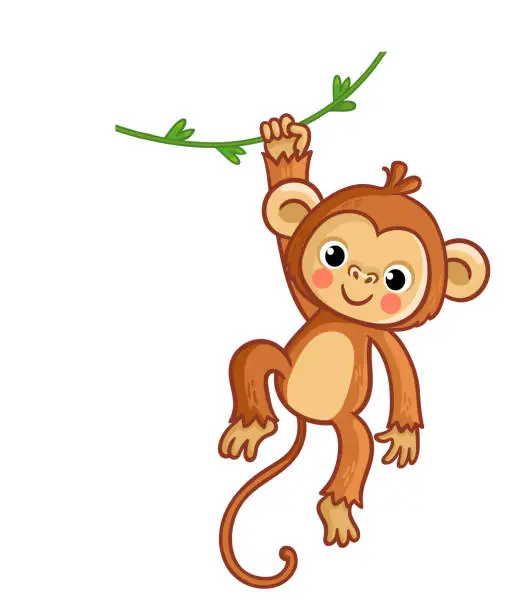 Vector illustration of Monkey hanging on liana. Vector illustration. Cute animal.