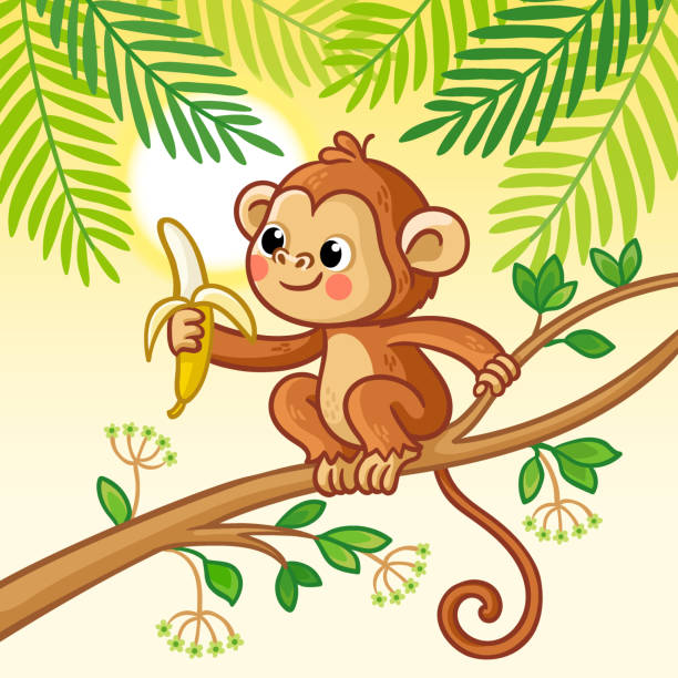 illustrations, cliparts, dessins animés et icônes de le singe est assis sur un arbre et mange une banane. animal mignon dans le style de dessin animé. - monkey tropical rainforest tree cartoon