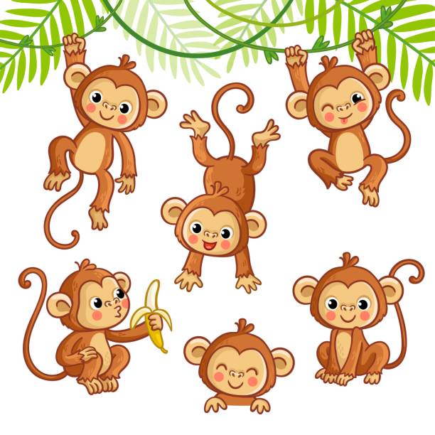 illustrations, cliparts, dessins animés et icônes de vecteur placé avec le singe dans différentes poses. - grand singe
