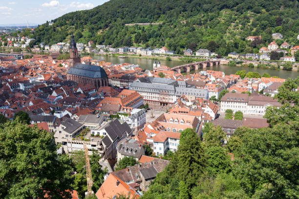 istock Heidelberg city at sunny summer day 1140110012