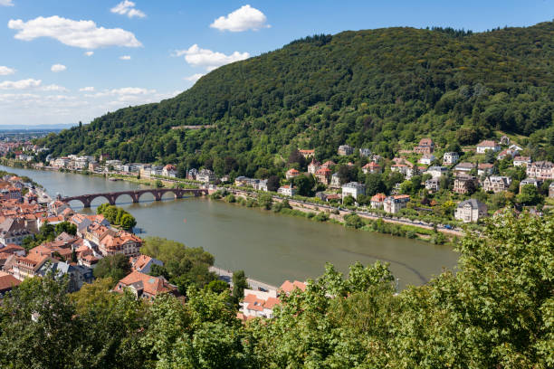istock Heidelberg city at sunny summer day 1140110019