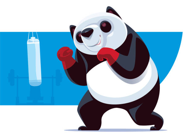 panda boxer with punching bag vector illustration of panda boxer with punching bag panda animal stock illustrations