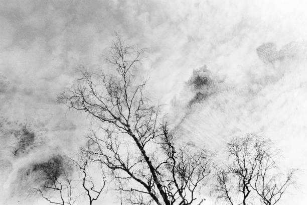istock Spring landscape in style of a hokku 1140112615