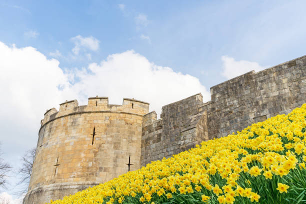 City walls with daffodils.