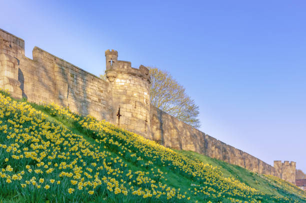 istock City walls with daffodils. 1140113431