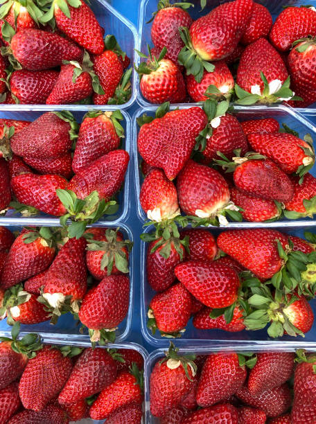 istock ripe red strawberries as a background 1140125313
