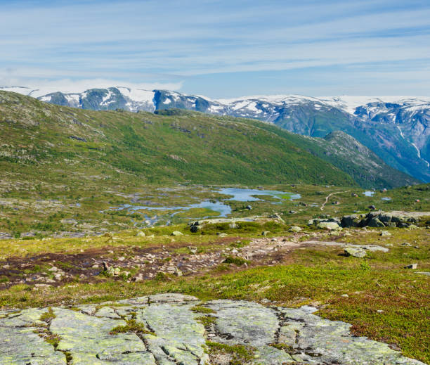 Summer highlands plateau, Norway