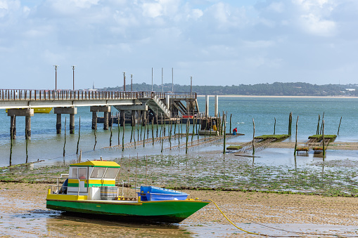 Cap Ferret, France - March 7, 2019: two oyster farmers are working in their oyster beds at low tide, close to the central beach and the jetty of Cap Ferret, on the Arcachon bay, where tourism and oyster farming are the main activities.