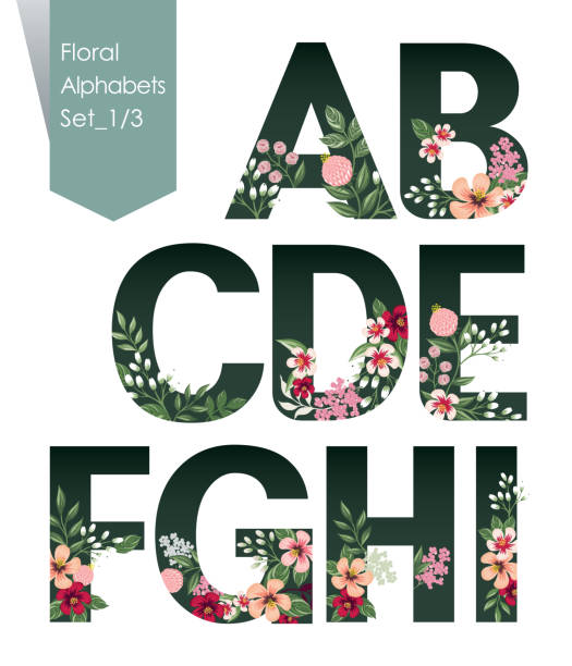 Vector illustration of floral alphabets collection. A set of beautiful flowers and alphabets for wedding, invitations and birthday cards. Design for banner, poster, card, invitation and scrapbook computer icon symbol set alphabet stock illustrations