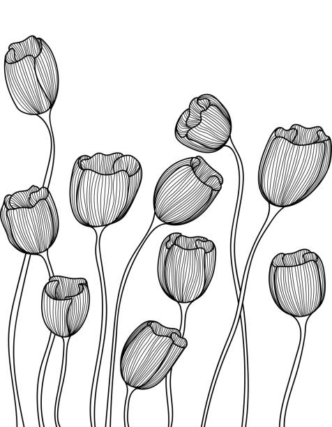nahtlose doodwerblumen - flower white tulip blossom stock-grafiken, -clipart, -cartoons und -symbole