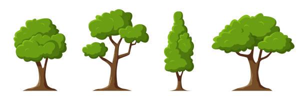 Cartoon Trees Set Isolated On A White Background Simple Modern Style Cute  Green Plants Forest Can Be Used To Illustrate Any Nature Or Healthy  Lifestyle Topic Flat Style Vector Illustration Stock Illustration -