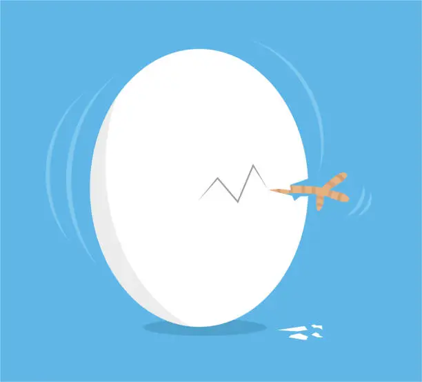 Vector illustration of Chick in egg shells