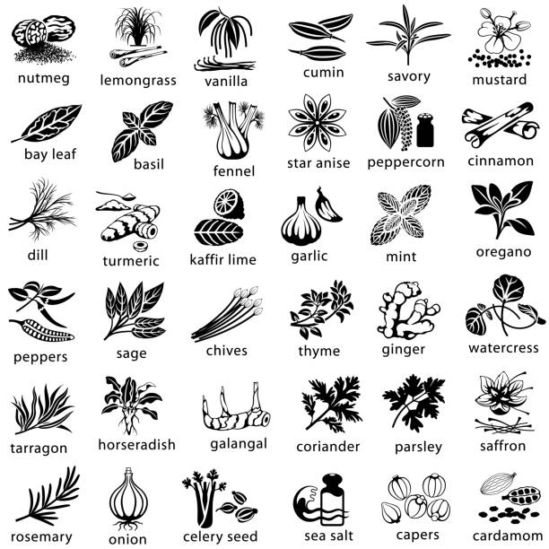 Cooking Herbs and Spices Icons Icon set of herbs and spices commonly used in cooking. Single color. Isolated. lime basil plant stock illustrations