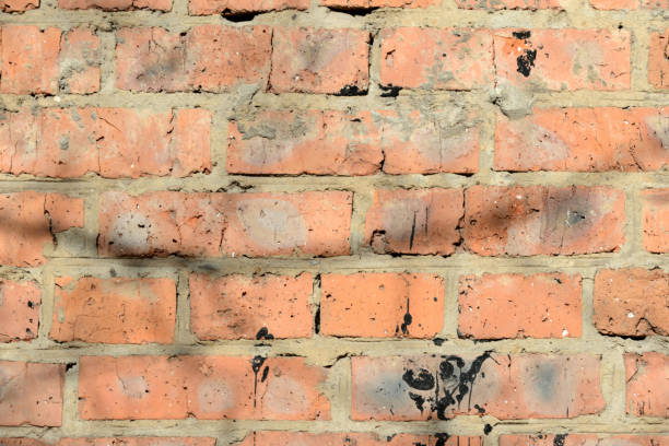 istock Old brick wall with shadows of branches on it on a sunny day.. Brick wall abstract background 1140137957