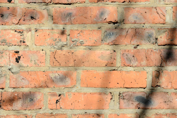istock Old brick wall with shadows of branches on it on a sunny day.. Brick wall abstract background 1140138008
