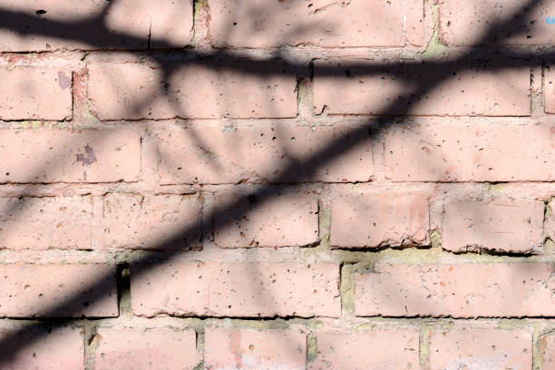 istock Old painted brick wall with shadows of branches on it on a sunny day.. Brick wall abstract background 1140138015