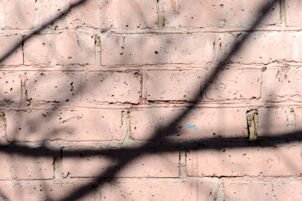 istock Old painted brick wall with shadows of branches on it on a sunny day.. Brick wall abstract background 1140138021