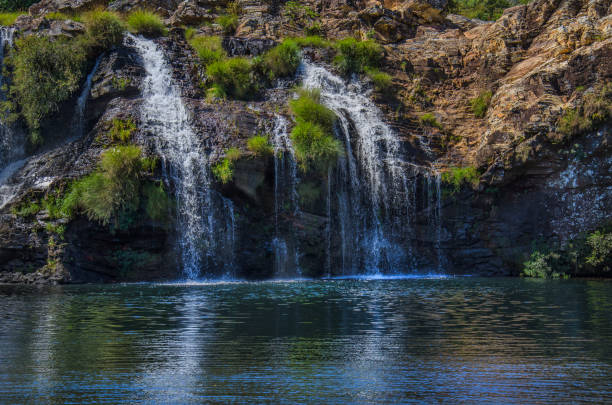 Cachoeira do Filó and lake The south of Minas Gerais state has steep growing tourism. The region, known by its stunning scenery, is visited for its nature and culture. 

The region is very rich in minerals and rocks and the landscape is full of mountains, waterfalls, and canyons.

Cachoeira do Filó is one of the tourist attractions of the region near Capitólio city, and very close to Furnas Dam.

The vegetation is known as Cerrado, a vast tropical savanna.

The great amounts of research have proved that the Cerrado is one of the richest of all tropical savanna regions in the world, and has high levels of endemism. Characterized by enormous ranges of plant and animal biodiversity, World Wide Fund for Nature named it the biologically richest savanna in the world, with about 10,000 plant species and 10 endemic bird species. There are nearly 200 species of mammal in the Cerrado, though only 14 are endemic.

Thus the region is also much visited by ecotourists. capitolio stock pictures, royalty-free photos & images