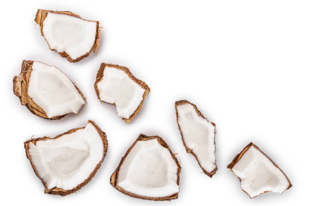 istock piece of coconut isolated on white background with copy space for your text. Top view. Flat lay 1140140405