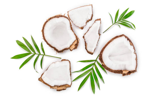 istock coconut with leaves isolated on white background. Top view. Flat lay 1140140413