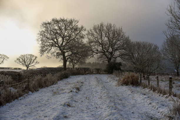 istock Snowy country lane 1140142089