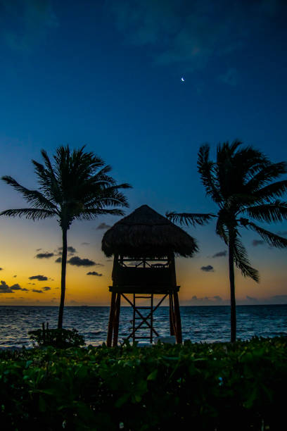 istock Yellow sunrise, Mexico, Riviera Maya 1140145861