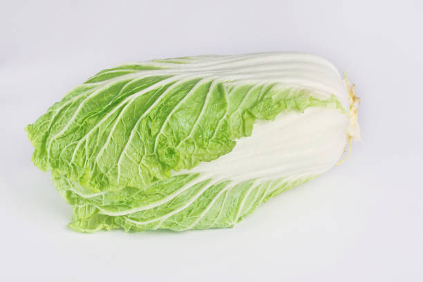 fresh chinese cabbage or napa cabbage isolated on a white background, studio shot