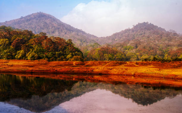 Periyar Lake in Thekkady,  Kerala, India Reflection  in  Periyar Lake located near Periyar National Park and Wildlife Sanctuary. periyar wildlife sanctuary stock pictures, royalty-free photos & images