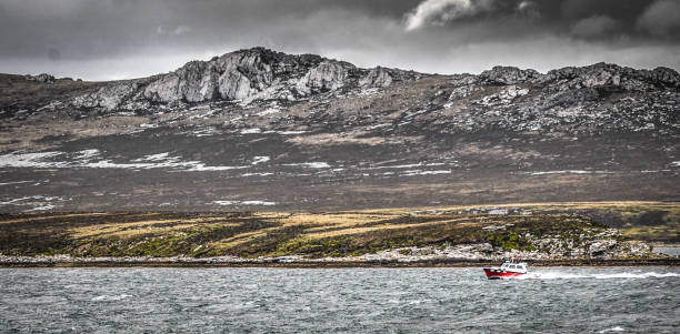 falkland inseln, blick von der küste, südatlantik. - falkland islands stock-fotos und bilder