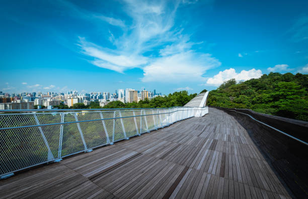 Singapore city Skyline and view of skyscrapers on Henderson bridge at daytime. Singapore city Skyline and view of skyscrapers on Henderson bridge at daytime. henderson waves stock pictures, royalty-free photos & images