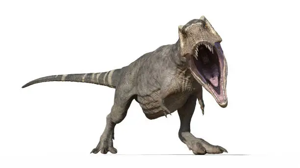 Photo of T-Rex Dinosaur, Tyrannosaurus Rex reptile, prehistoric Jurassic animal roaring on white background, front view, 3D rendering