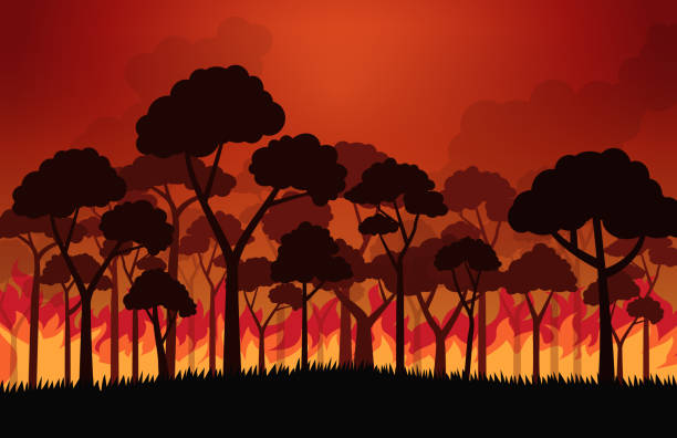 ilustraciones, imágenes clip art, dibujos animados e iconos de stock de incendios forestales quemando árboles en llamas de fuego-ilustración vectorial - heat vector environment animal