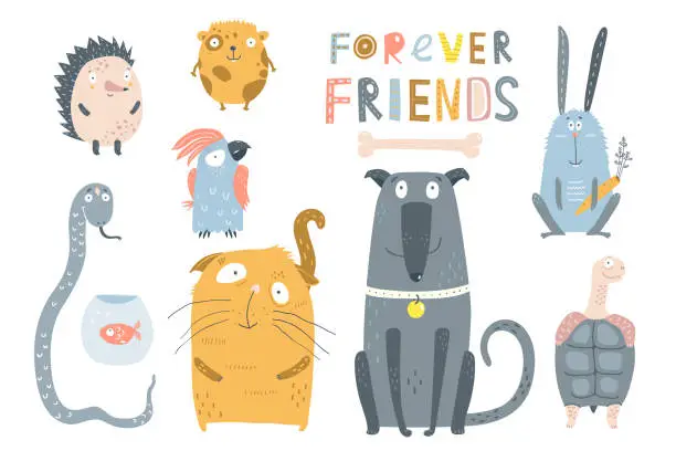 Vector illustration of Domestic Pets Animals Collection