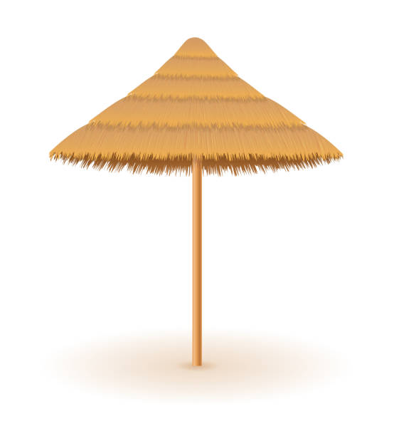 istock beach umbrella made of straw and reed for shade vector illustration 1140159328