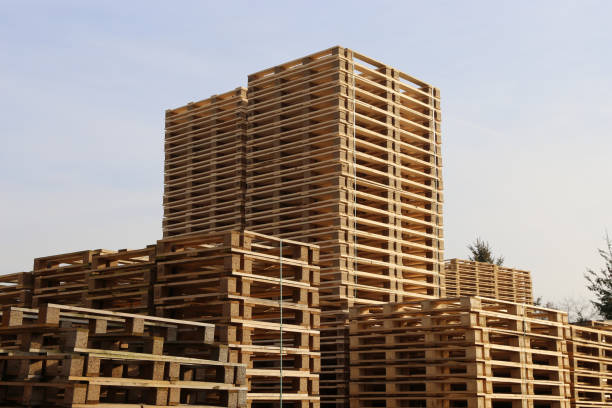 istock Wooden Euro pallets 1140161314
