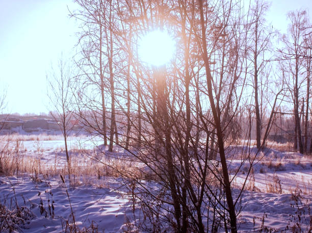 istock pond shore in the Park in winter 1140162073