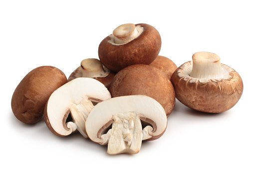 Fresh agaricus bisporus or portobello mushrooms on white background