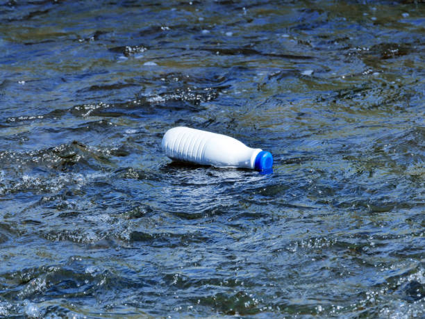 istock Plastic bottle thrown by man polluting the river 1140163616
