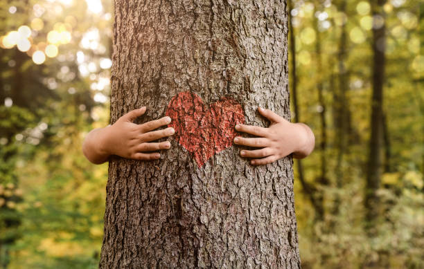 子供の手は木を抱きます - heart shape child human hand childhood ストックフォトと画像