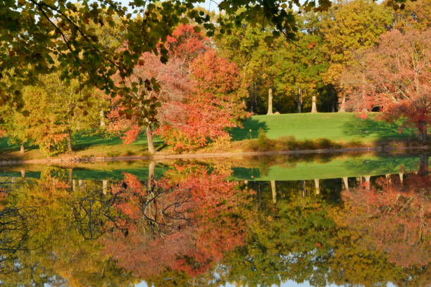 istock Autumn images in Virginia 1140164584