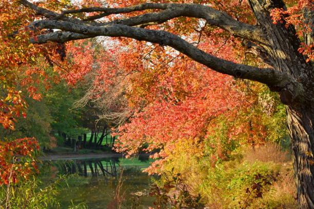 istock Autumn images in Virginia 1140165334