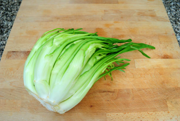 Puntarelle, typical Italian chicory head of puntarelle on wooden cutting board in the kitchen, taken from above puntarelle stock pictures, royalty-free photos & images