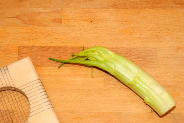 Puntarelle, typical Italian chicory head of puntarelle on a wooden cutting board in the kitchen, with the typical tool used to cut them, taken from above, puntarelle stock pictures, royalty-free photos & images