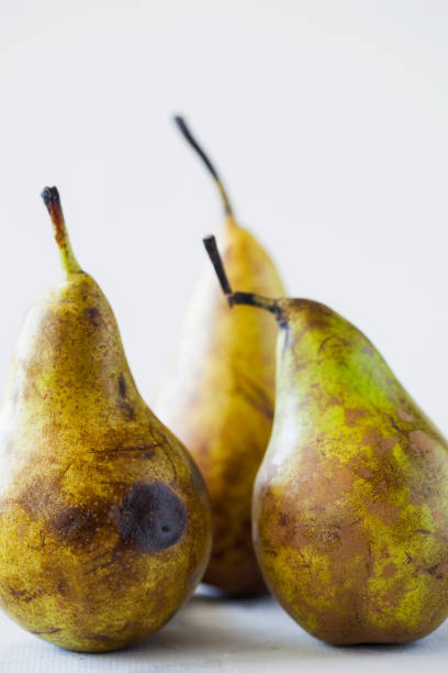 istock Trendy ugly organic fruits on the table. 1140171503