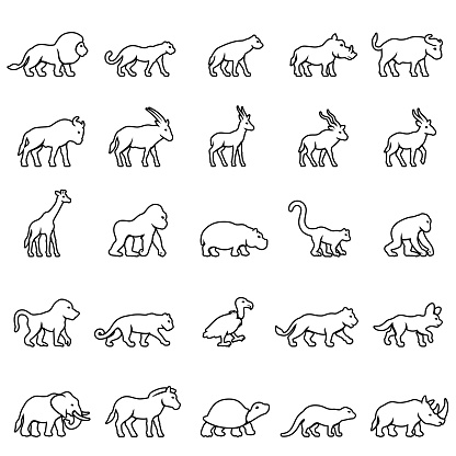 African Animals Icon Set