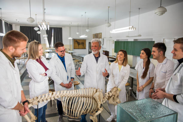 die studenten diskutieren mit dem professor. - anatomy classroom human skeleton student stock-fotos und bilder