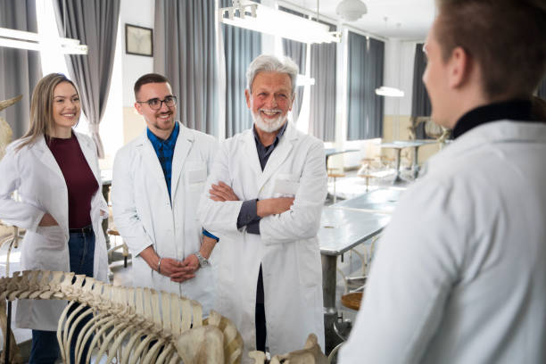 die studenten diskutieren mit dem professor. - anatomy classroom human skeleton student stock-fotos und bilder