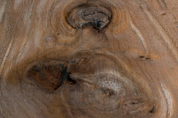 istock Background of exotic wood grain 1140175767